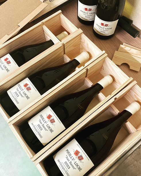 Skærmbillede 2026-03-23 kl. 11.17.33.png