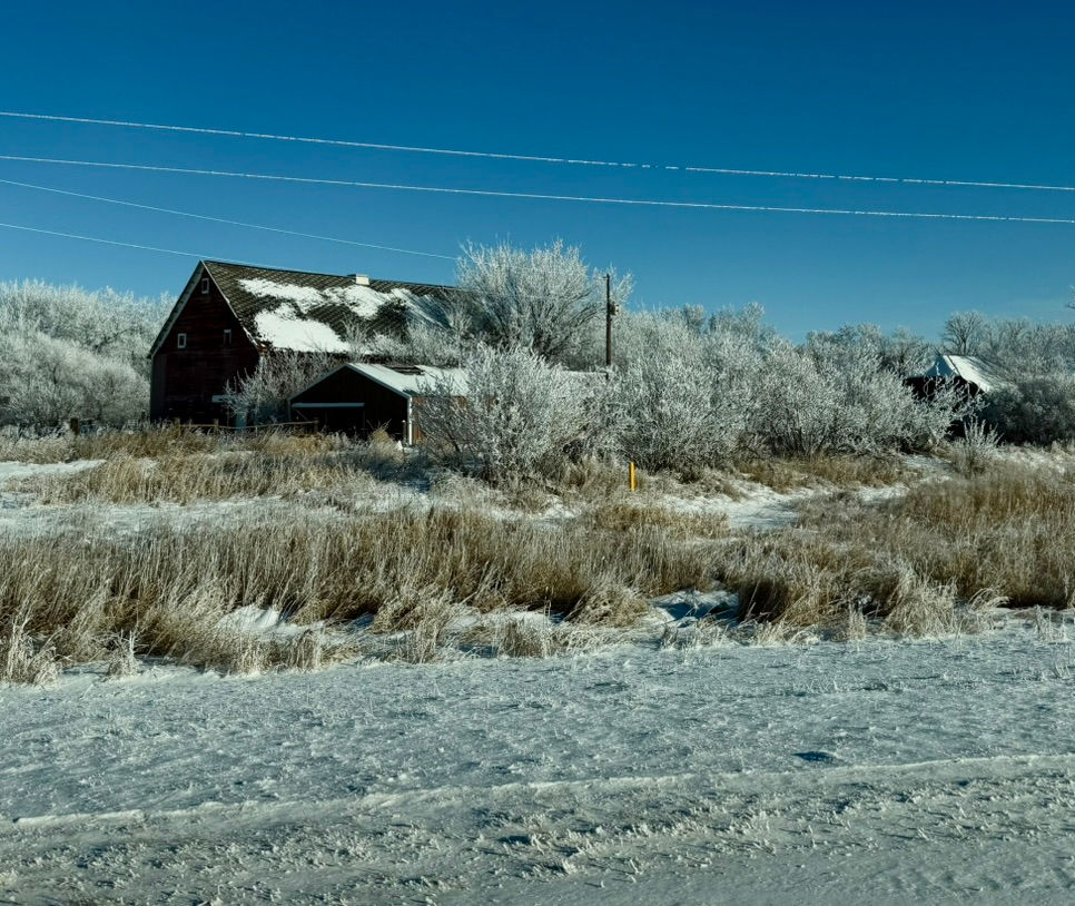 06C7514E-C781-407D-9AAD-48054885656D_1_105_c.jpeg