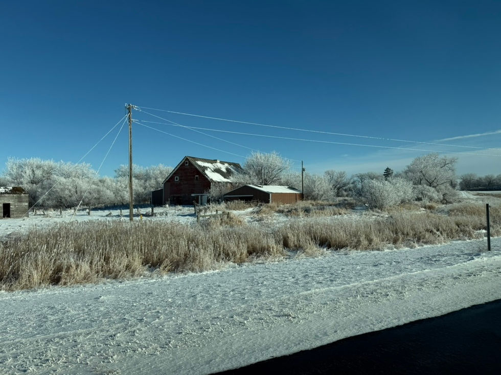 0E0A0228-41C7-44FB-B178-6657675CBF09_1_105_c.jpeg