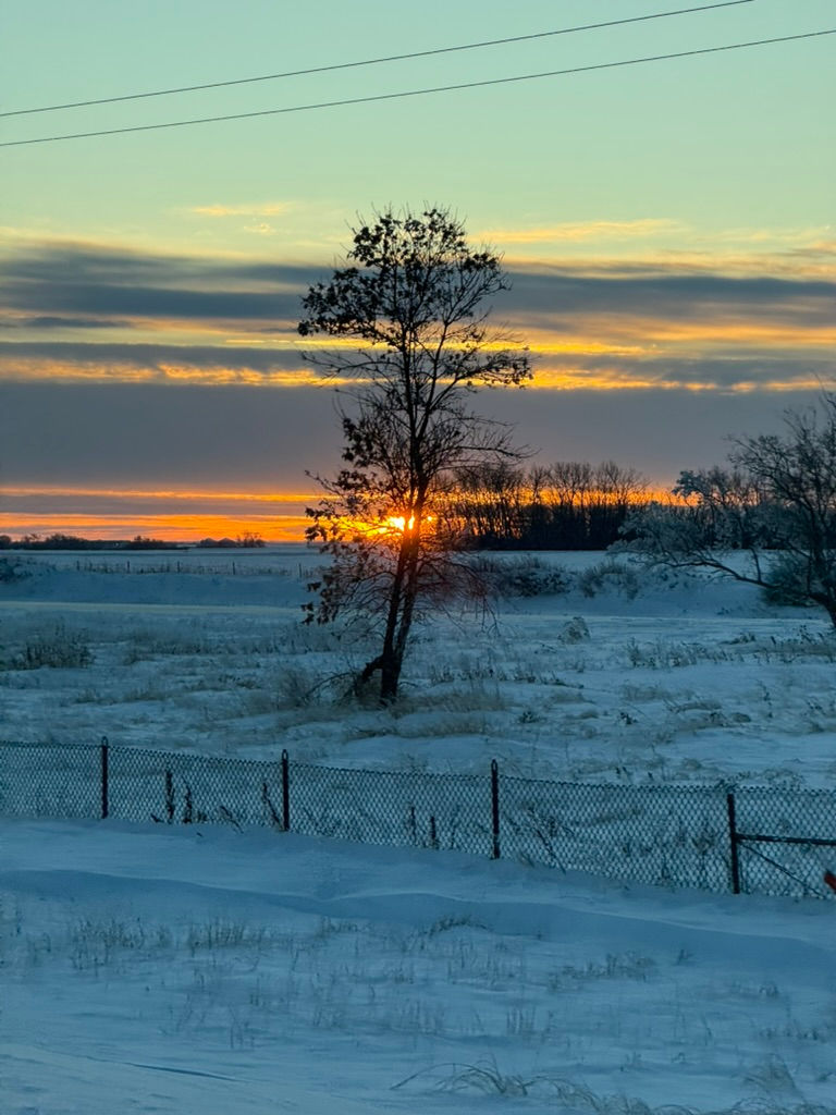 7794F0BE-1DB5-47D2-AE65-49E840CA28B5_1_105_c.jpeg
