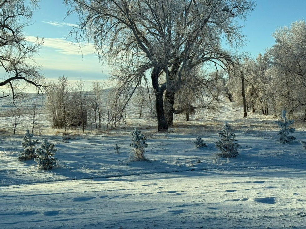 D632F0AA-6366-4E52-B1C4-C1EBB45E966F_1_105_c.jpeg