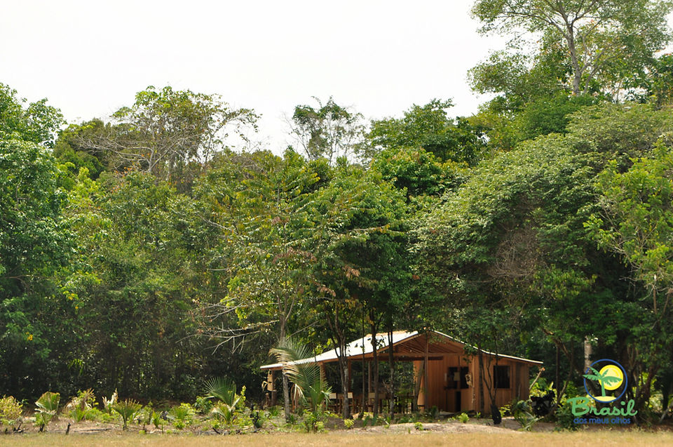 Flona do Tapajos