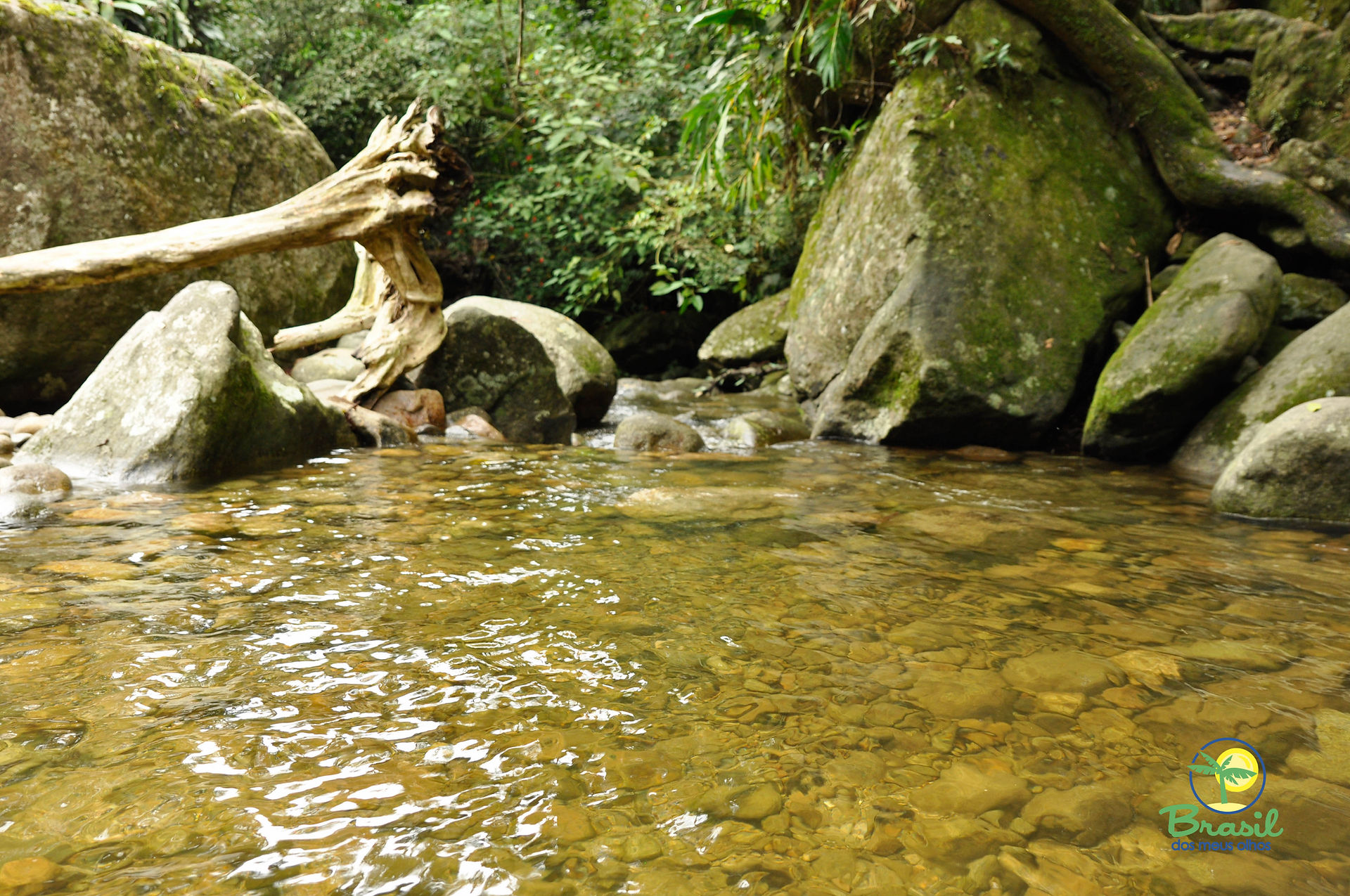 Guapimirim