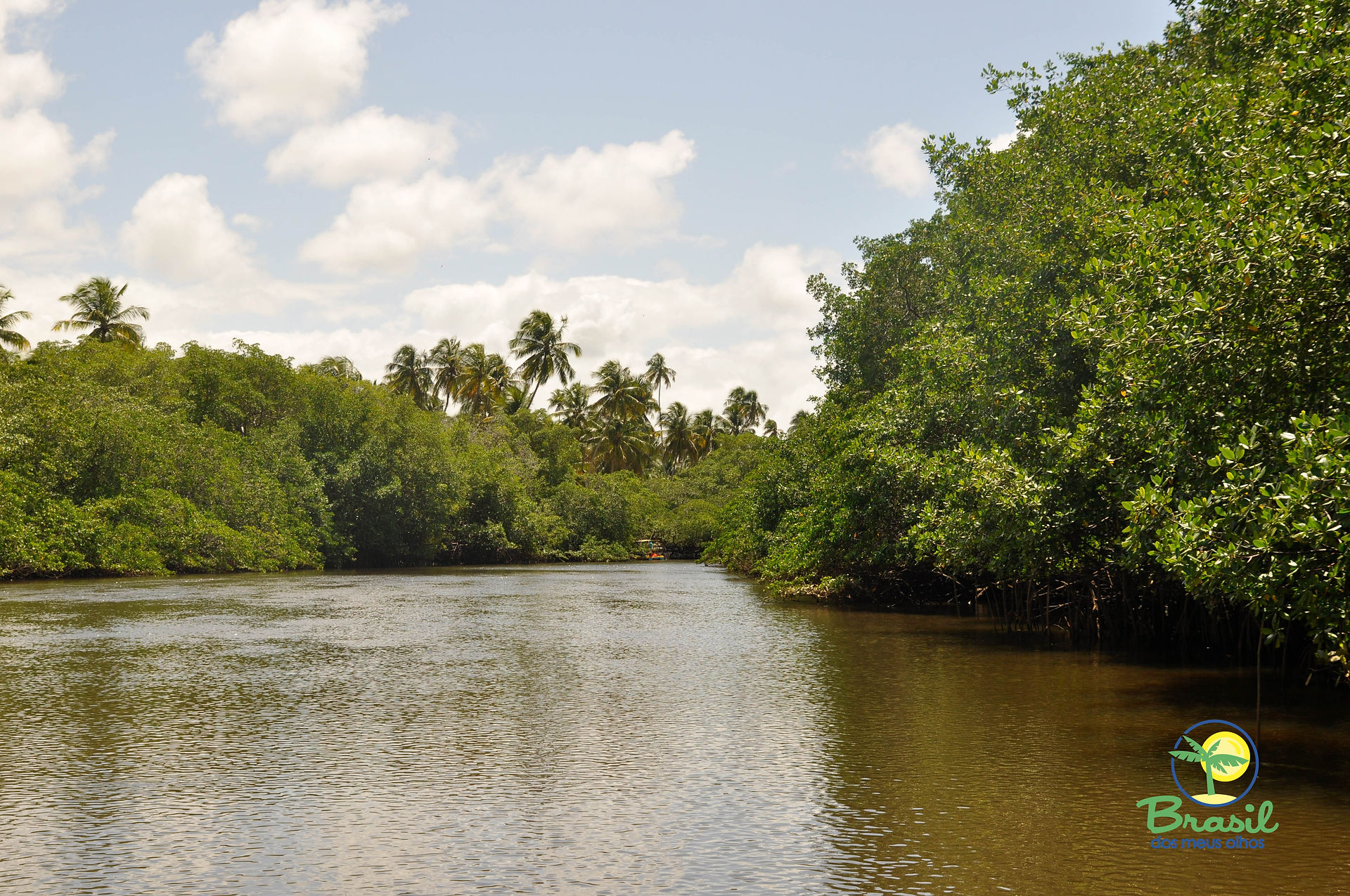 Rio Tatuamunha
