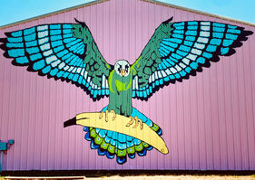 Banana Falcon (at WEHO Market)