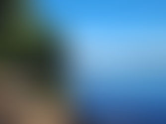 2025 Petrie Island Relay