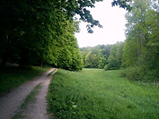 image (1).png