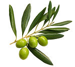 Luxus-Immobilie ligurien
