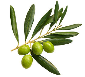 Olives