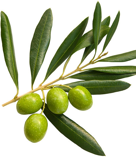 Olives