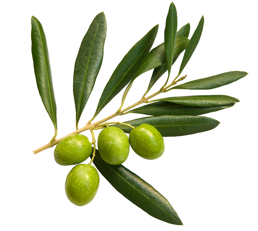 Olives