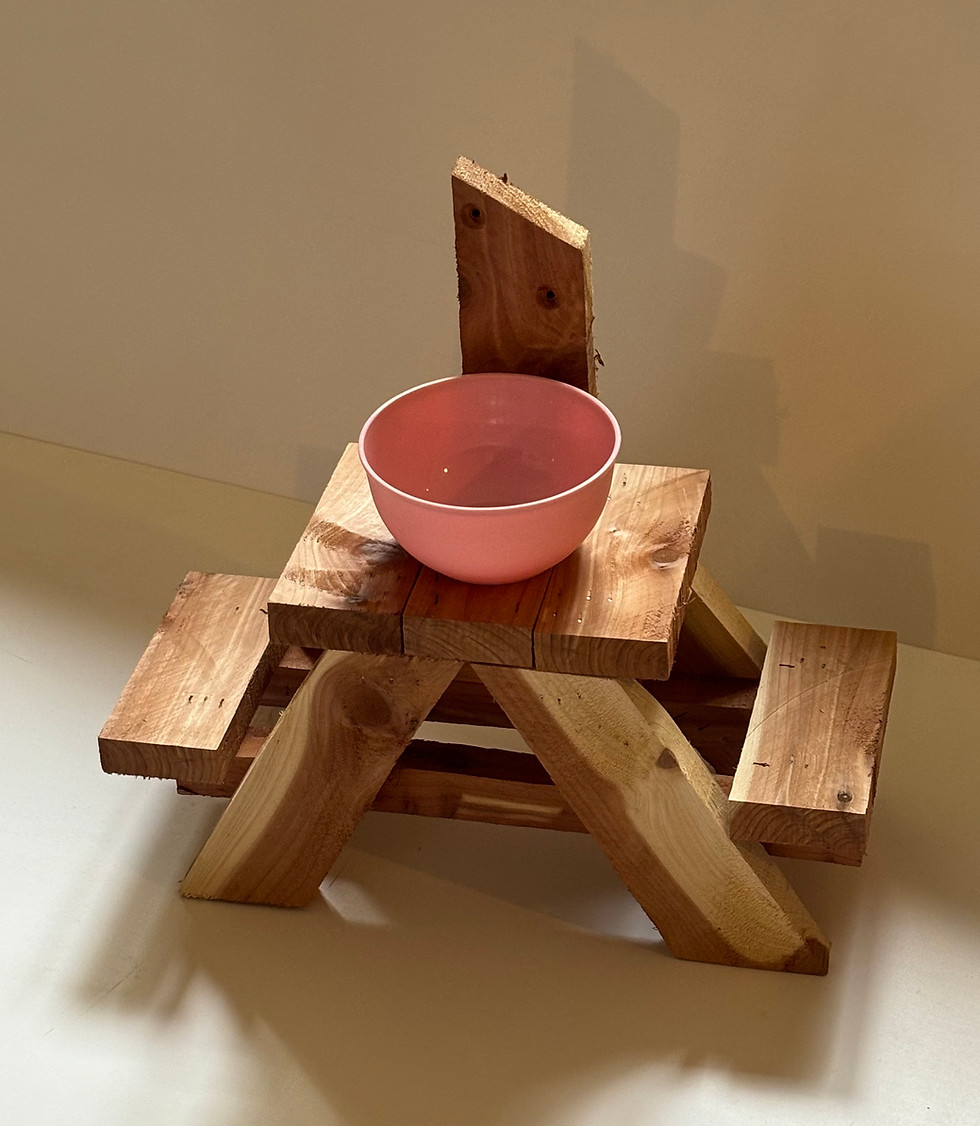 Thumbnail: Squirrel Picnic Table with bowl