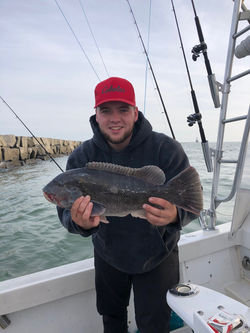 Tautog Fishing
