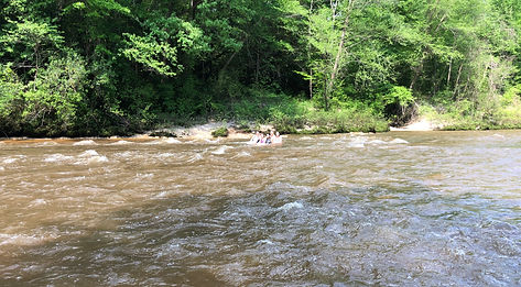 Bogue Homa 14 (3-28-20).jpg