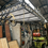 Miniatura: Iron work conpy 