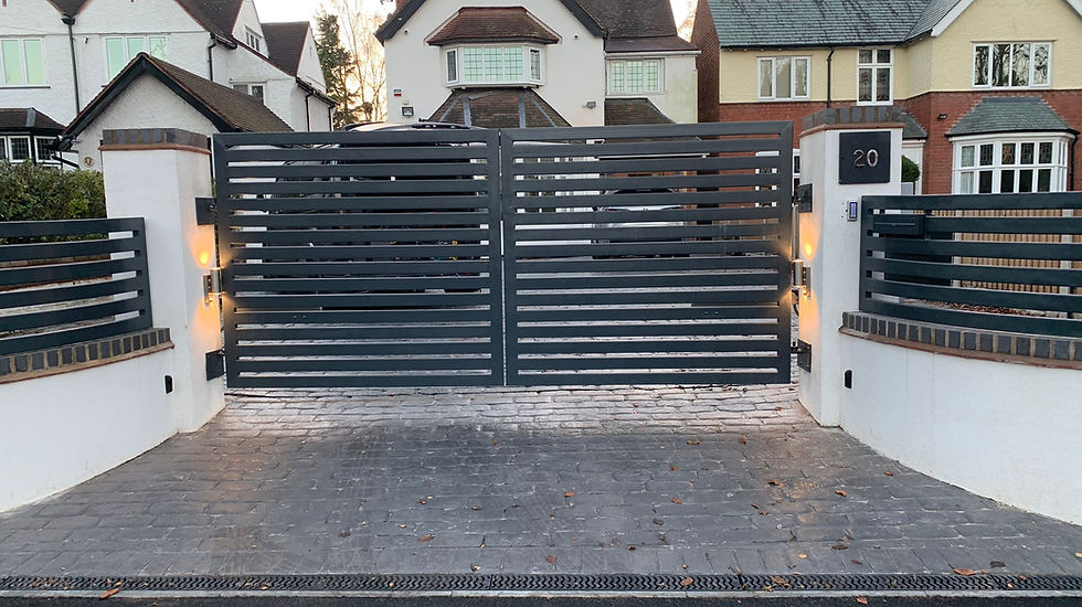 Miniatura: Modern design metal gate 