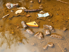 The Hidden Danger: The Most Harmful Part of Stormwater Pollution