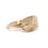 Thumbnail: Sia Ring