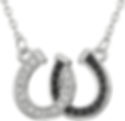 Horseshoe Necklace