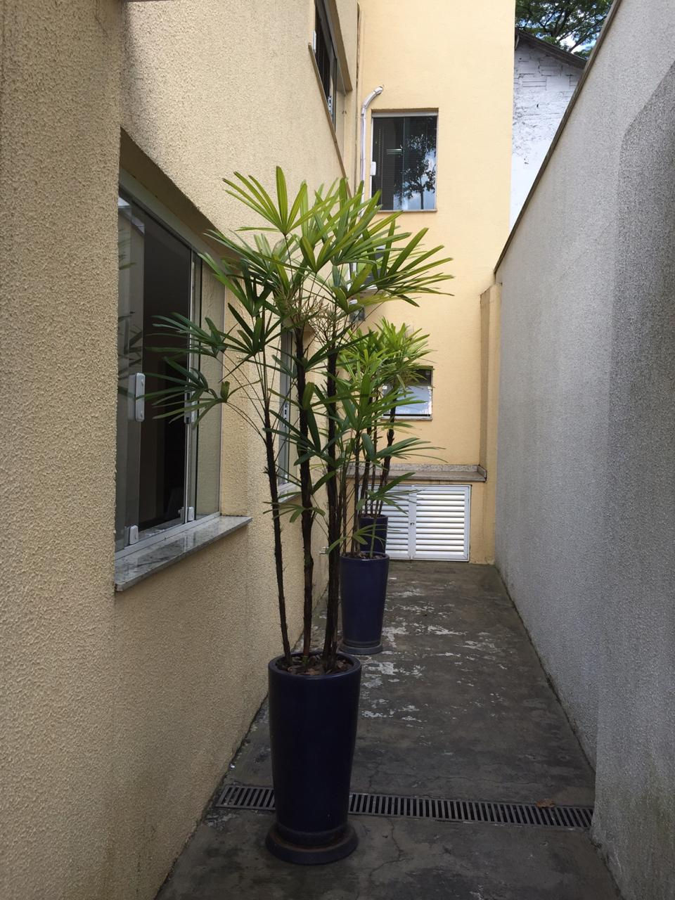 WhatsApp Image 2020-02-11 at 9.42.20 AM.