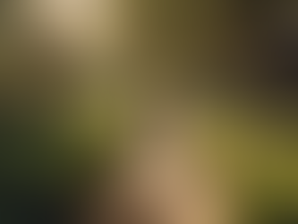 Explore as visitas ao Grupo Irmãos Pacheco