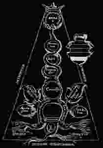 George Ripley: Mirror of alchemy