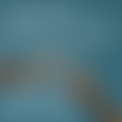 Beyond the Numbers: Rethinking What KPI’s Really Measure