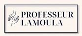 Logo professeur Lamoula .png