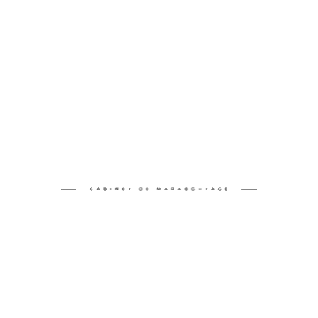 Professeur-Bintoubala-LOGO-transparent.gif