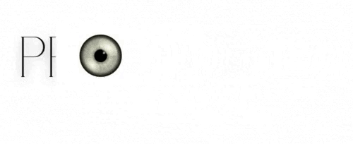 PROFESSEUR FARANA LOGO .gif