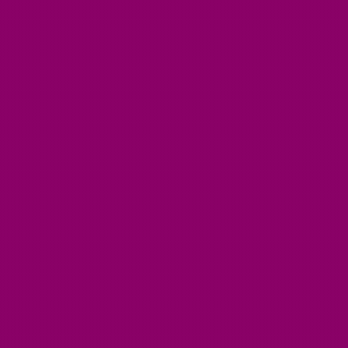 BORIS DUVAL LOGO.gif