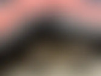 Hedgehog population decline puts pressure on local rescue centre