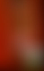 St. Mary’s Calendar – Week of November 11