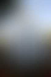 Even More Pictures from the 200th Anniversary