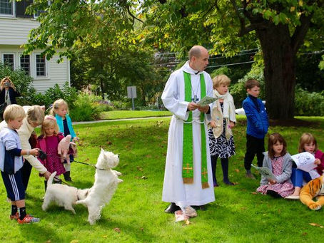 This Week at St. Mary’s – October 2 – Join us for The Blessing of the Animals!