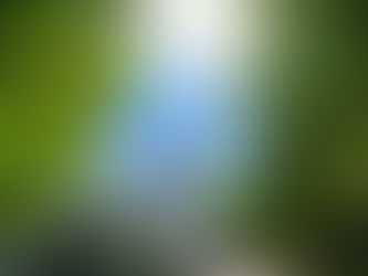 This Week at St. Mary’s – Aug. 28 – Sept. 4