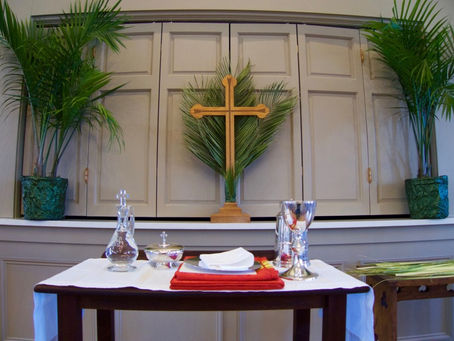 Photos: Palm Sunday