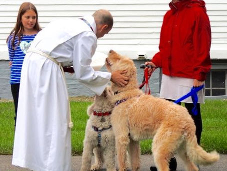 Blessing of the Animals at St. Mary’s!