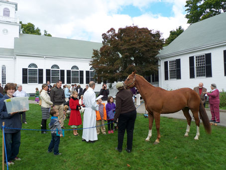 Photos: Blessing of the Animals