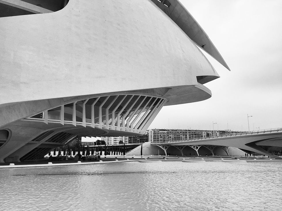 Palau de les Arts Reina Sofia