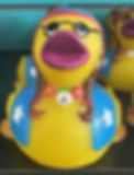 Hippy Duck