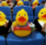 Concessions Duck