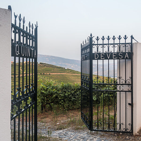 QuintadaDevesa_02-600x600