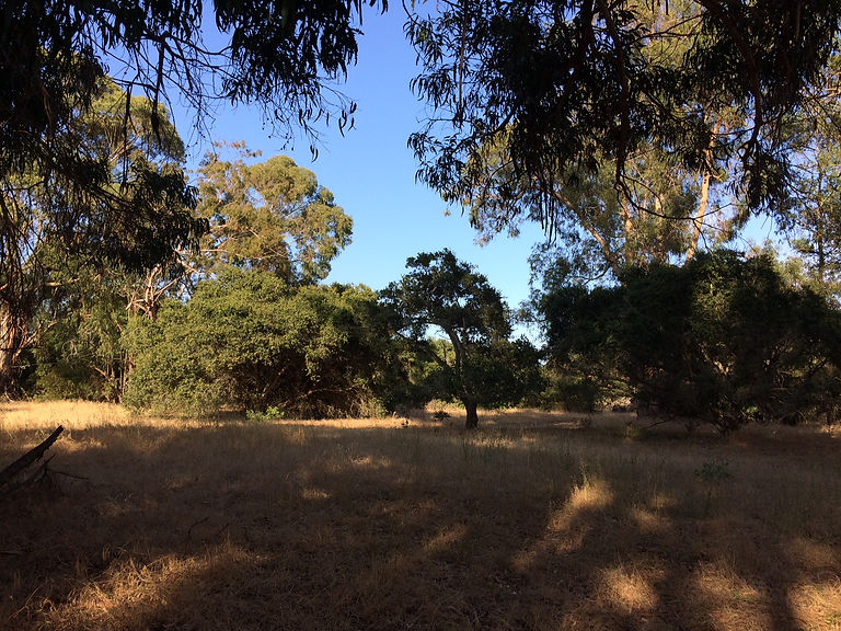 Douglas Family Preserve.JPG