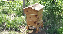 Warre hive Kevin Pauba Wikicommons.jpg