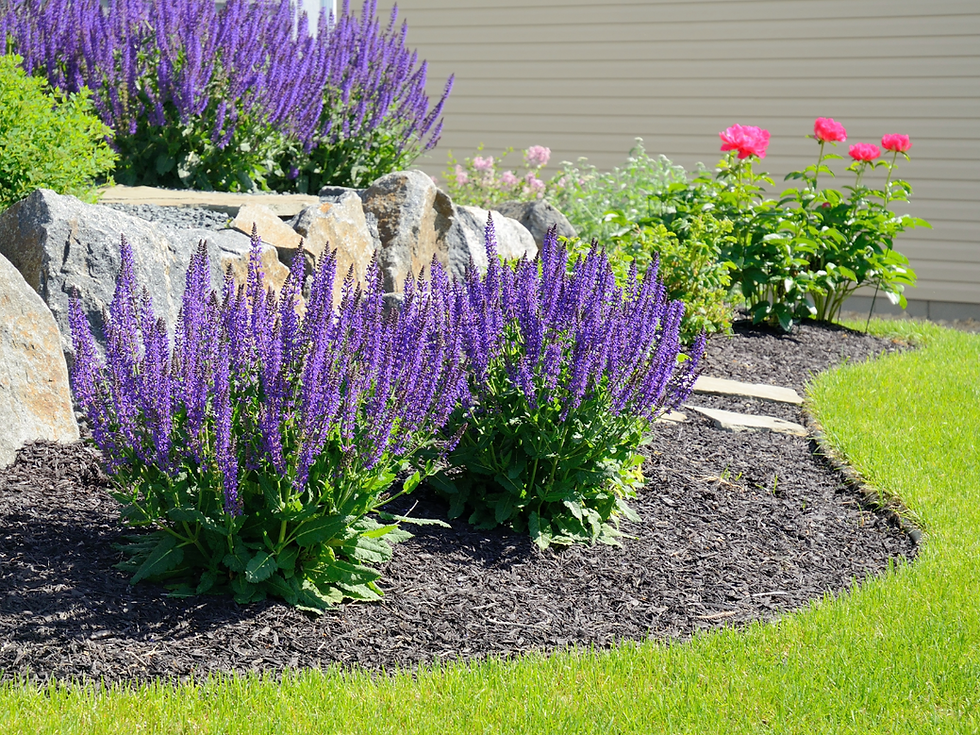Spring Landscaping Ideas That Add Value to Your Home