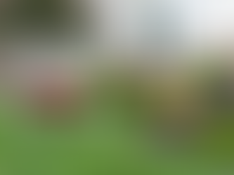 Don’t Skip These Spring Home Maintenance Tasks