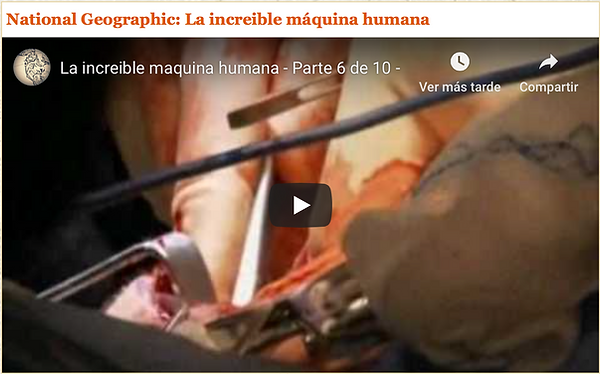 Captura de pantalla 2018-10-24 a las 9.2