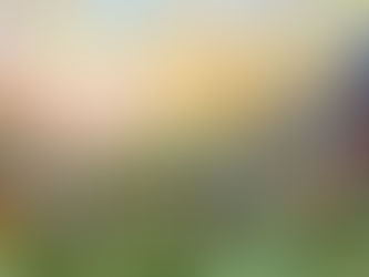 «По диким степям Зазеркалья», фрагмент. Рассказ из книги «День тополиного пуха»