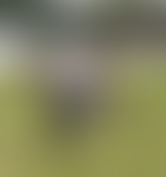 3ª DIVISÃO DO FUTEBOL AMADOR DE CAMPO LIMPO PAULISTA 2025: Nesse domingão (07/12) saberemos os quatro clubes que jogarão a Segundona de 2026.